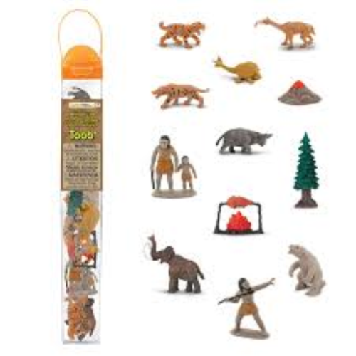 Tubro preistorico Safari Ltd