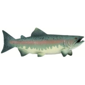 Salmone Safari Ltd