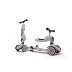 Cavalcabile e monopattino 2 in 1 cenere - ash Scoot&ride