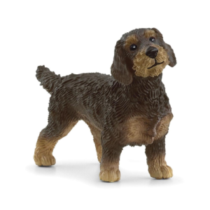 Bassotto a pelo ruvido Schleich